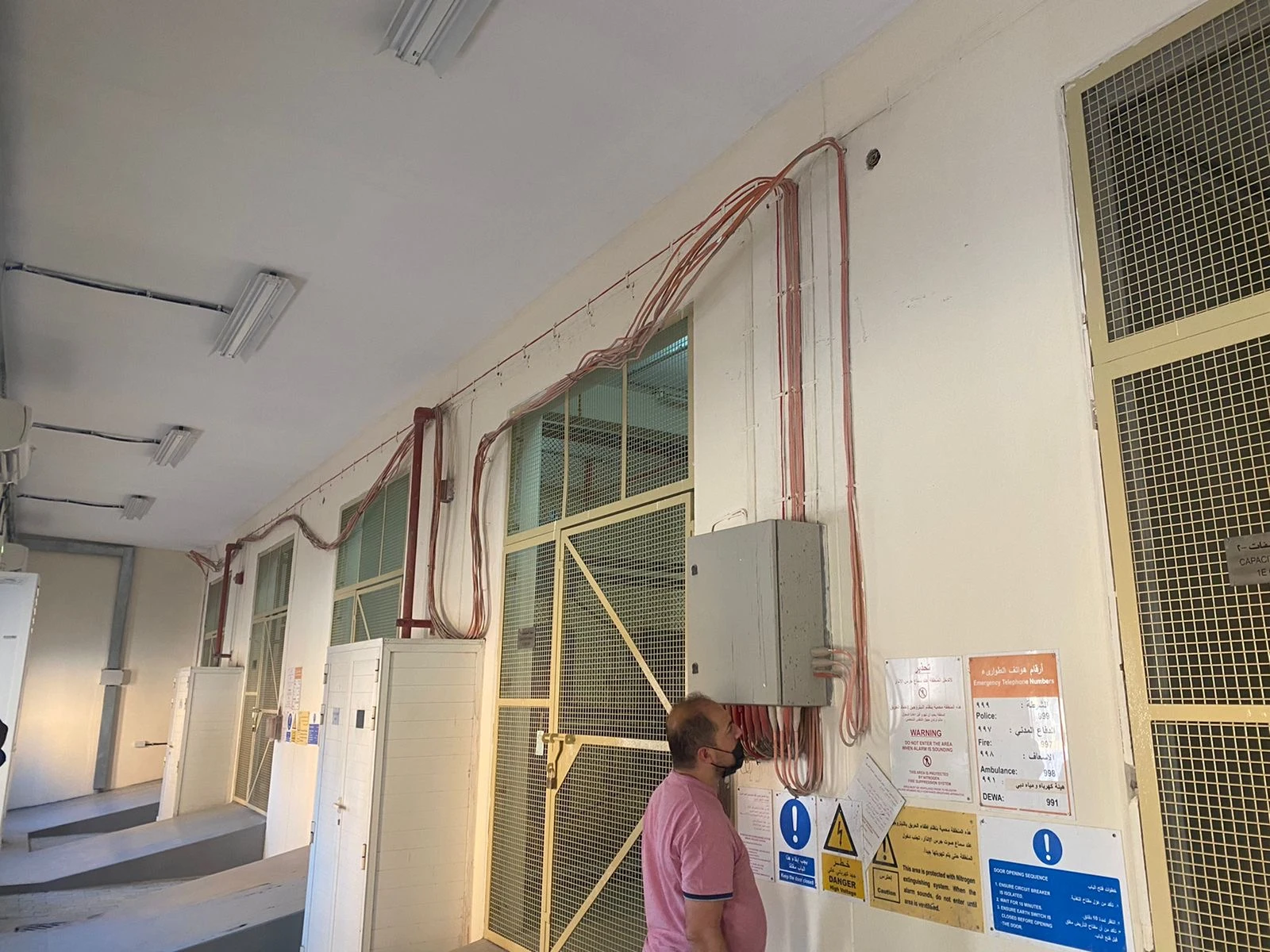 Services and wall finishing